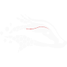 Badgerd